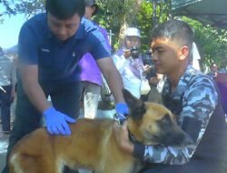 RABIES: Tersedia Vaksin bagi 350 Hewan Piaraan untuk Cegah Rabies di Kabupaten Temanggung, Jawa Tengah