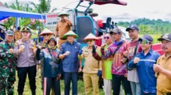 PADI: Panen Raya, Bukti Kerja Nyata Wujudkan Gerbang Pangan di Banggai, Sulawesi Tengah