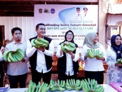 PISANG: Cold Storage akan Perkuat Rantai Pasok Buah Pisang dari Lumajang ke Pasar Modern