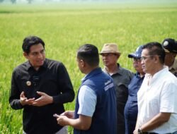 PERTANIAN: Tinjau Demplot, Bupati Indramayu Tekankan Efisiensi dan Pertanian Berkelanjutan