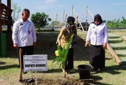 KELAPA: Dukung Ketahanan Pangan, 1.000 Bibit Pohon Kelapa Ditanam di Lapas Terbuka Kelas IIB Kendal