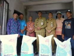PUPUK: 5 Ton Pupuk NPK Distribusikan untuk Perkuat Ketahanan Pangan dan Produktivitas Petani di Bantul, Yogyakarta