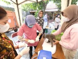 RABIES: Pemkot Surakarta Sediakan 1.100 Vaksin Gratis untuk Wujudkan Kota Sehat dan Aman