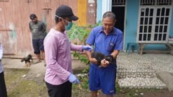 RABIES: Pemkab Pinrang, Sulsel Gelar Vaksinasi Massal Cegah Rabies, Disiapkan 2.000 Dosis Vaksin
