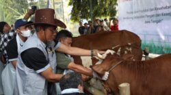 BULAN BAKTI NAKESWAN 2025, Peternakan Jawa Tengah Pasok Kebutuhan Protein Nasional