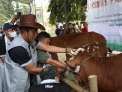 BULAN BAKTI NAKESWAN 2025, Peternakan Jawa Tengah Pasok Kebutuhan Protein Nasional
