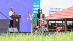 SAWAH: Dukung Ketahanan Pangan Nasional, Perlunya Perlindungan Sawah