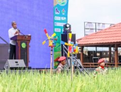 SAWAH: Dukung Ketahanan Pangan Nasional, Perlunya Perlindungan Sawah