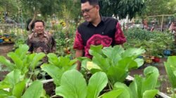 KETAHANAN PANGAN: Wabup Sleman, Danang Maharsa Apresiasi Kiprah KWT Tresno Nur Ati