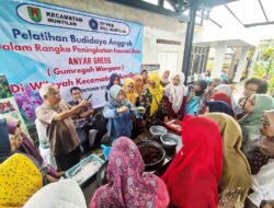 ANGGREK: Pemkab Magelang Dorong Budi Daya Anggrek Jadi Produk Unggulan Daerah
