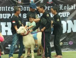 DOMBA: Peternak Muda Mulai Gemari Ajang Adu Domba Lokal dalam Ajang Bupati Semarang Cup