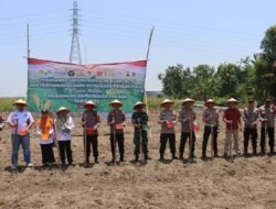 JAGUNG: Kapolres Demak Tanam Jagung, Wujudkan Ketahanan Pangan