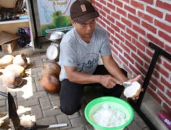 KELAPA KOPYOR: Membangun Kampung Kopyor Semuten, Antara Inovasi Teknologi, Kolaborasi, dan Kreativitas Pengelolaan