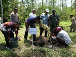 KELAPA HIBRIDA: Wabup Sleman Dorong Pertanian Berkelanjutan dan Kesejahteraan Petani