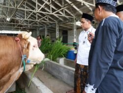 RPH HALAL Masjid Agung Jawa Tengah Semarang Diresmikan, Jamin Sesuai Syariat Islam