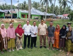 SAPI: Dukung Kemandirian Ekonomi, Gorontalo Salurkan 793 Ekor Sapi