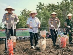 JAGUNG: Tanam Serentak Kuartal IV Dimulai di Kabupaten Sragen untuk Dukung Swasembada Pangan