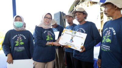 TEMBAKAU: 110 Kelompok Kelola Lahan Seluas 1.200 Hektare Tembakau di Kabupaten Lumajang, Jawa Timur