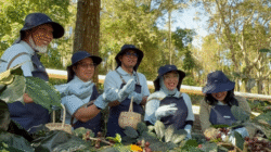 KOPI: Inovasi Panas Bumi Lahirkan Kopi Canaya, “Si Belum Ada” yang Pikat Pasar Ekspor