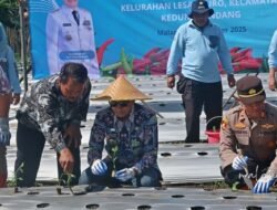 CABAI: Gerakan Tanam 3.000 Bibit, Jadi Strategi Kota Malang untuk Tekan Inflasi Akhir Tahun