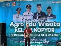 DESA WISATA: Desa Selomanik, Wonosobo, Jawa Tengah, Luncurkan Agro Edu Wisata Kelapa Kopyor