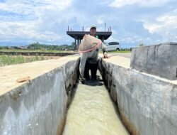IRIGASI: Dapat Bantuan Soal Pengairan, Petani di Pekalongan, Jawa Tengah, Nikmati Panen Melimpah