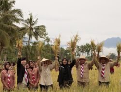JAGUNG: Membanggakan, Kabupaten Banyuwangi Surplus Jagung dan Padi