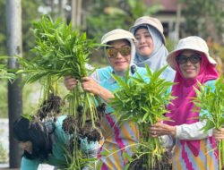 HORTIKULTURA: PKK Pontianak Ajak Warga Manfaatkan Pekarangan dengan Tanaman Hortikultura