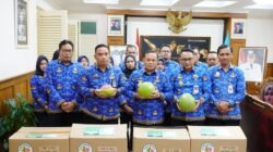 JERUK: Perluas Pasar, Jeruk Pamelo Didistribusikan kepada Kepala Daerah se-Jawa Tengah