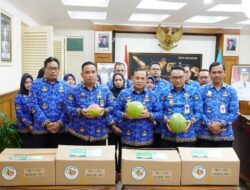 JERUK: Perluas Pasar, Jeruk Pamelo Didistribusikan kepada Kepala Daerah se-Jawa Tengah