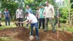 KELAPA: Dorong Kesejahteraan Petani, Ada Bantuan 10 Ribu Bibit Kelapa bagi Kabupaten Pati, Jawa Tengah