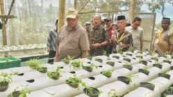 KETAHANAN PANGAN: Bupati Sleman Hadiri Soft Launching Taman Semar Ndalil Kelurahan Girikerto