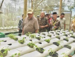 KETAHANAN PANGAN: Bupati Sleman Hadiri Soft Launching Taman Semar Ndalil Kelurahan Girikerto