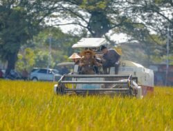 PANGAN: Produktivitas Pangan Provinsi Jawa Tengah Tahun 2025, Capai Target Nasional