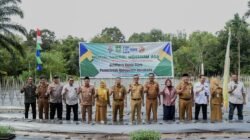 CABAI: Pemkab Bengkalis, Riau, Dorong Swasembada Lewat Menanam Cabai