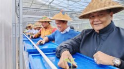 MELON: Benih Disemai di Greenhouse Poktan Geber Tabur, Jakarta