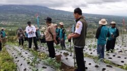 KOPI: Petani Wonolelo, Magelang, Perluas Areal Lahan Kopi Arabika untuk Tingkatkan Penghasilan