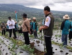 KOPI: Petani Wonolelo, Magelang, Perluas Areal Lahan Kopi Arabika untuk Tingkatkan Penghasilan