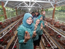 AYAM: Istri Wagub Jateng, Dukung Program Penguatan Ketahanan Pangan melalui Peternakan