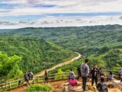 KEBUN BUAH MANGUNAN di Dlingo, Bantul, Tawarkan Sensasi Kabut dan Terbitnya Mentari Pagi