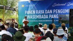 SWASEMBADA PANGAN: Turut Berkontribusi, Banyuwangi Surplus Ratusan Ribu Ton Beras dan Jagung