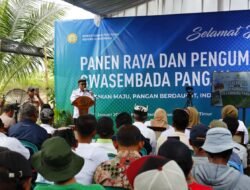 SWASEMBADA PANGAN: Turut Berkontribusi, Banyuwangi Surplus Ratusan Ribu Ton Beras dan Jagung