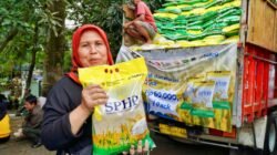 BERAS: Pemerintah Godok Beras SPHP Satu Harga Rp11.000 Per Kg dari Sabang sampai Merauke