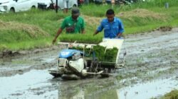 PERTANIAN: Meningkat, Produksi Pertanian dan Peternakan Tahun 2025 di Kabupaten Rembang, Jawa Tengah