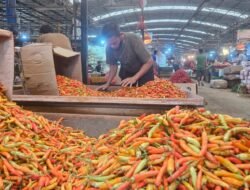 CABAI: Upaya Stabilkan Harga, Pemerintah Guyur 1,7 Ton Cabai ke Pasar Induk Kramat Jati, Jakarta