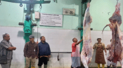 RPH: Direktur Kesehatan Hewan Kunjungi RPH Giwangan, Kota Yogyakarta, Lakukan Monitoring