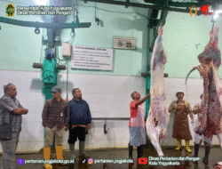 RPH: Direktur Kesehatan Hewan Kunjungi RPH Giwangan, Kota Yogyakarta, Lakukan Monitoring