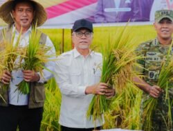 GABAH: Pemerintah Luncurkan Program Penyerapan Gabah di Maros, Sulawesi Selatan