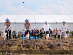 JAGUNG: Pejabat Daerah Tanam Jagung Serentak di Pasuruan, Wujudkan Swasembada Pangan Nasional