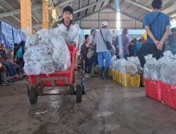 IKAN: Meski Libur Lebaran, Tempat Pelelangan Ikan di Kota Pekalongan, Tetap Buka